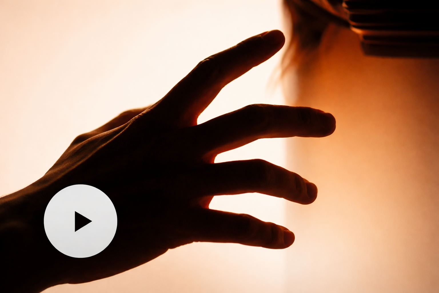 Showreel агентства